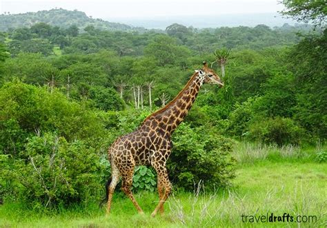 Kissama National Park - A Safari in Angola