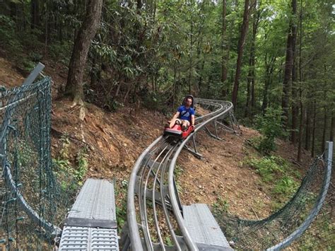 Take A Ride Through Tennessee's Fall Foliage On The Gatlinburg Mountain ...