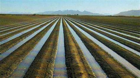 Especialistas en rendimiento, uso del agua y eficacia riego