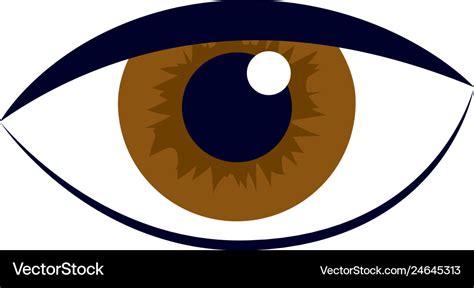 Human eye cartoon Royalty Free Vector Image - VectorStock