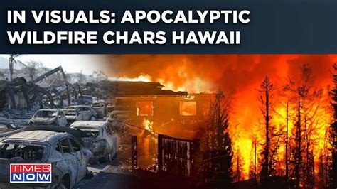 Why Hawaii Wildfires Moved 'Shockingly Fast': What Caused The Disaster| What Made It ...