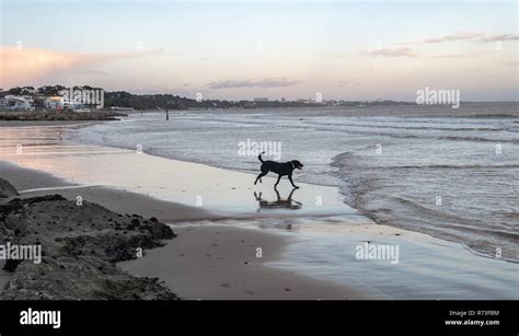 Sandbanks Beach Stock Photo - Alamy