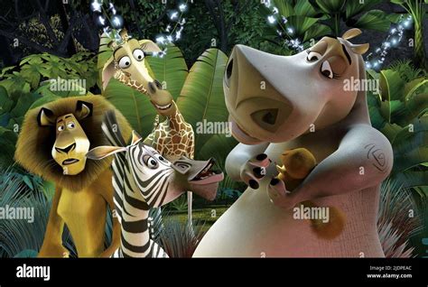 LION,ZEBRA,GIRAFFE,HIPPO, MADAGASCAR, 2005 Stock Photo - Alamy