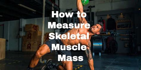 How to Measure Skeletal Muscle Mass - StayOnTheCourt.Com