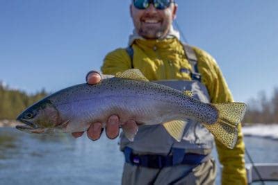 Guided Fishing Trips In Montana | Montana Fishing Guides