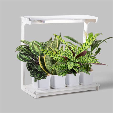 MG010 Grow Lights for Plants, Indoor Kitchen Garden, Window Herb Garden Kit CE Company | J&C ...