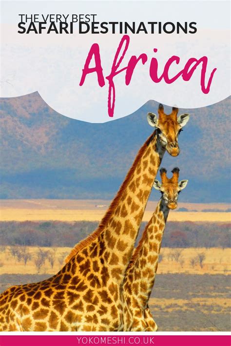 The Best Safari Destinations in Africa: The Ultimate List | Yoko Meshi ...