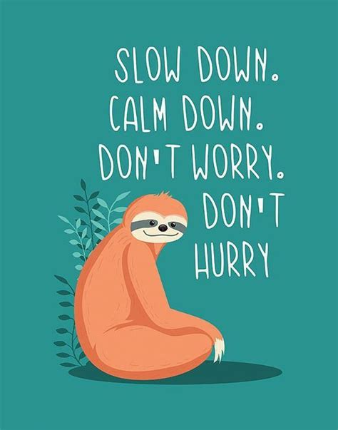 Pin on Motivational Quotes | Cute animal quotes, Sloth quote, Sloth