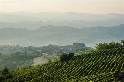 Barolo | Wine Region Guide