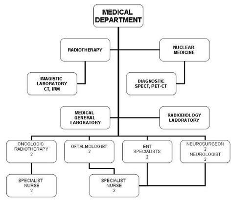 Laboratory Organization Chart