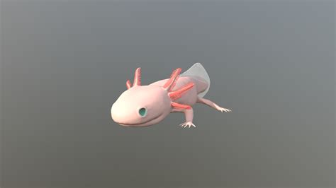 Axolotl - 3D model by Daniel-Marcel Reinders (@DonWippo) [a6d80ff] - Sketchfab