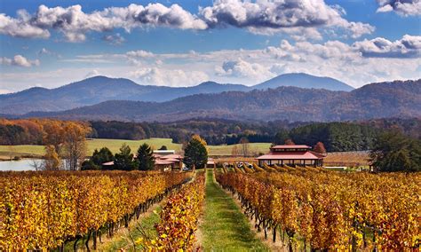 Nicewonder Farm and Vineyard - BS Guide to Virginia Wineries