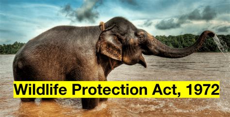 The Interpretation and Implementation of the Wildlife Protection Act ...