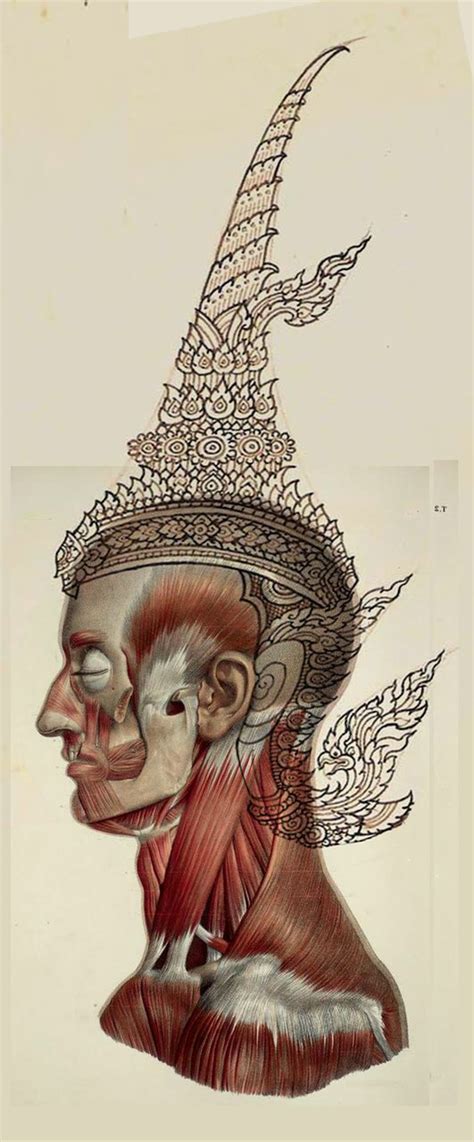 Artwork by Thai contemporary artist | Cambodian art, Thailand art, Thai art