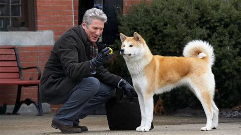 Is Hachi: A Dog’s Tale a True Story? Is the Movie Based on Real Life?