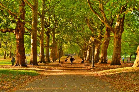 Seven calming ways to really slow down in London - Things to do in London