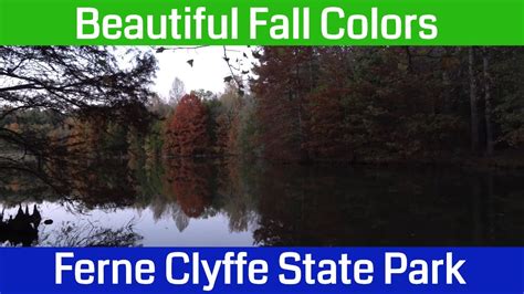 Fall Colors at Ferne Clyffe State Park Lake Loop in Southern Illinois - YouTube