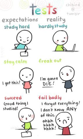 Funny Quotes About Study Hard - ShortQuotes.cc