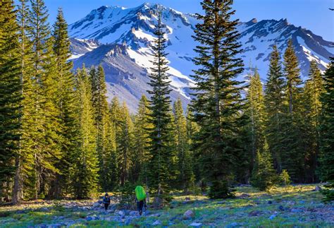 Hiking Mount Shasta: Tips, Best Season, Permits