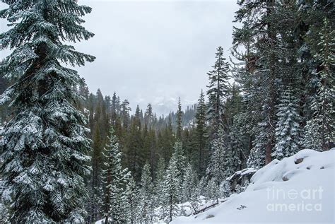 Kings Canyon winter scene 1-7885 Photograph by Stephen Parker | Fine Art America