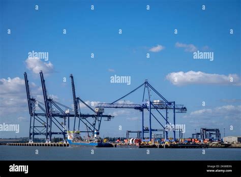 London Thamesport container port with gantry cranes loading a ship Stock Photo - Alamy