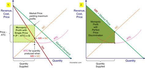 Econowaugh AP: Monopoly 8 - Price Discrimination