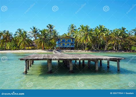 Dock With Beach House And Coconut Trees Stock Images - Image: 35577954