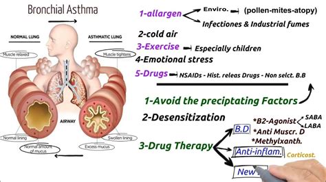 What Is Asthma Causes Of Asthma Symptoms Of Asthma Treatment Pharmacology Made Easy – Otosection