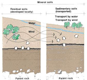 Residual Soil And Transported Soil