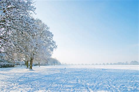 A Beautiful Winter Park Free Stock Photo - Public Domain Pictures