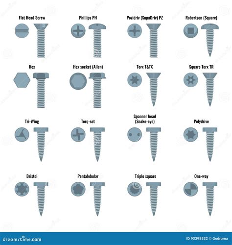 And Bolt Heads Set with Text Names Vector Illustration. Stock Vector - Illustration of socket ...