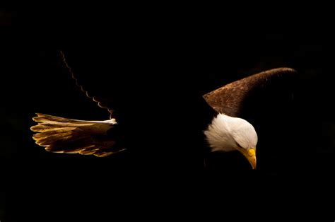 Ketchikan, Alaska – Walt Sterneman Photography