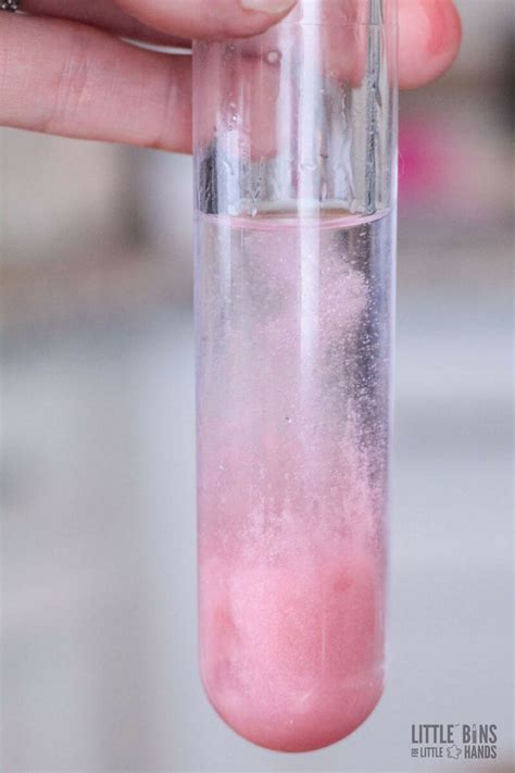 Strawberry DNA Science Activity for Kids Food Science Dna Lab, Biology Labs, Teaching Biology ...