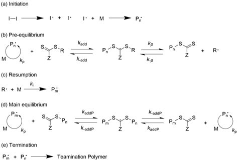 Acrylate Polymerization Mechanism