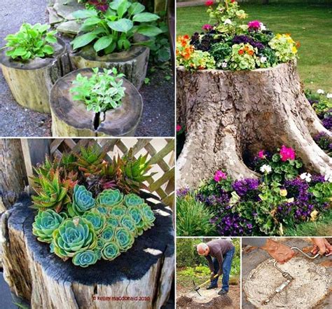 Short Tree Stump Ideas