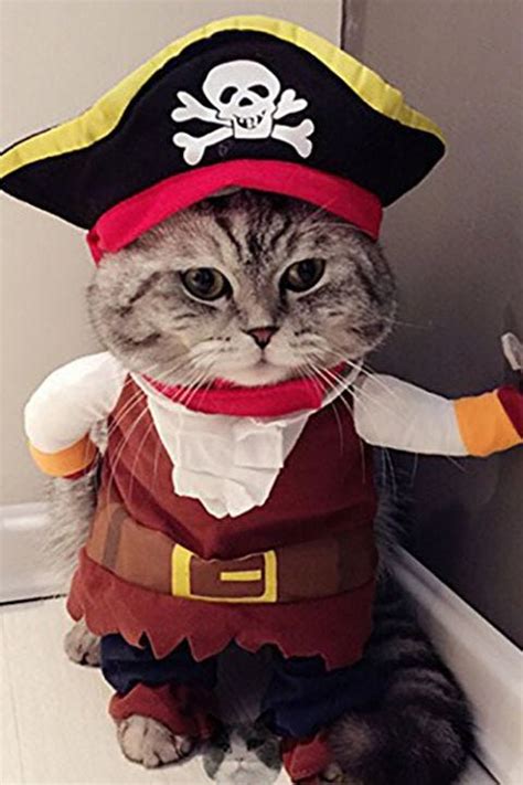 37 Best Dog and Cat Halloween Costumes 2018 - Cute Pet Costume Ideas