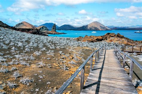 When is the Best Time to Visit the Galapagos Islands | Trailfinders