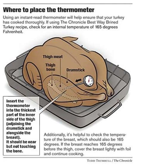 Where to Place the Thermometer. Chronicle graphic by Todd Trumbull | Chicken & Turkey ...