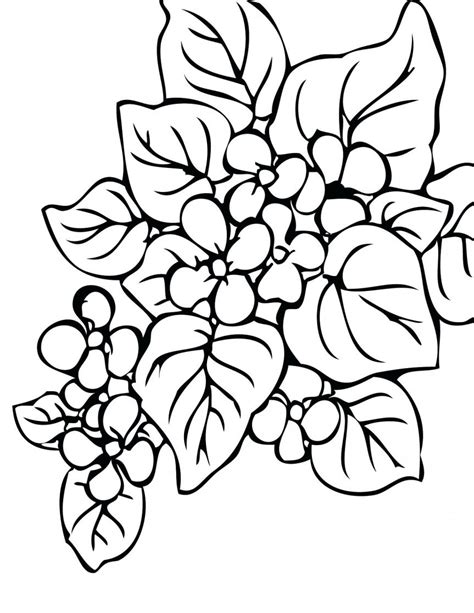 Free Rainforest Coloring Pages at GetColorings.com | Free printable colorings pages to print and ...