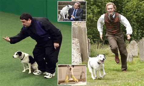 What Happened To Sykes The Dog From Midsomer Murders