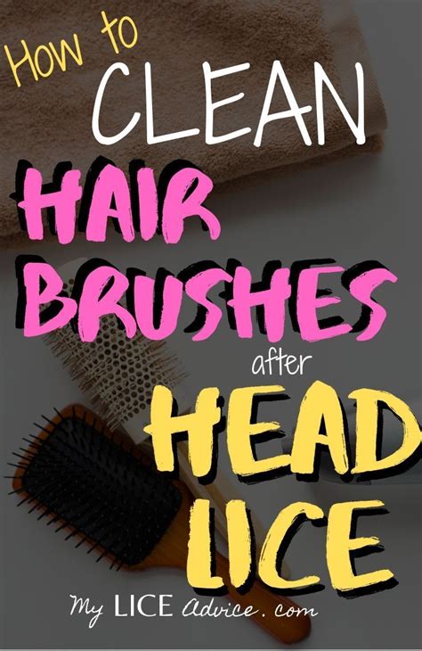How to Clean Hairbrushes After Head Lice | Head louse, Hair brush, Louse