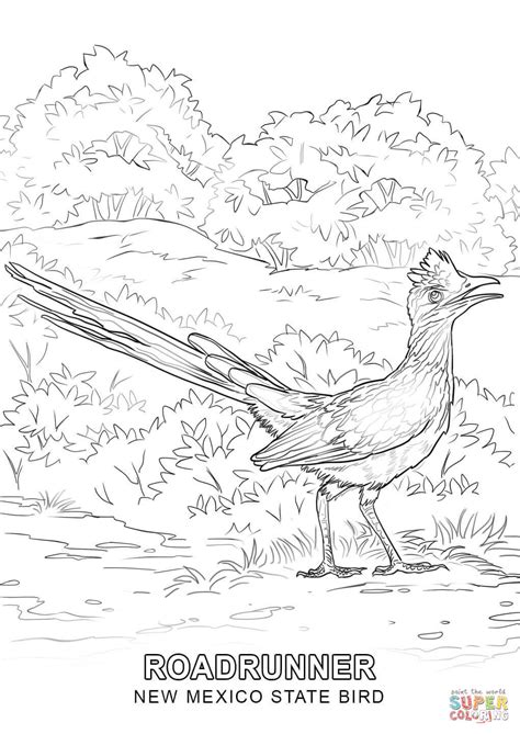 New Mexico State Bird coloring page | Free Printable Coloring Pages