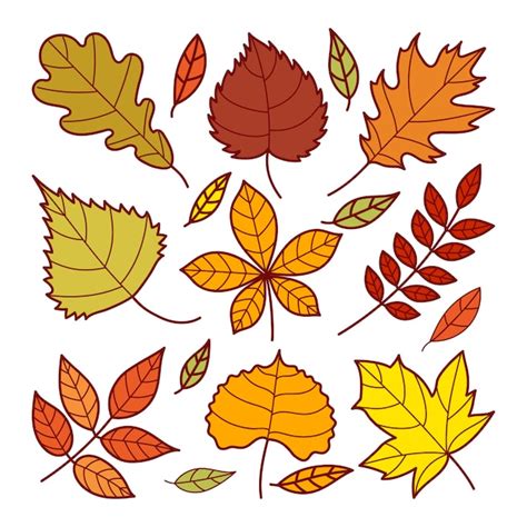 Premium Vector | Autumn leaf doodle