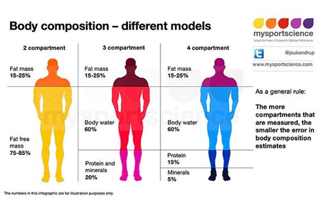 What Are The Different Methods To Measure Body Fat, 58% OFF