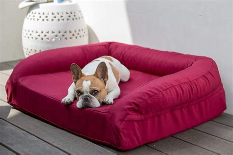 14 Best Tough Dog Beds for Chewers (With Guarantees!) - Hey, Djangles.