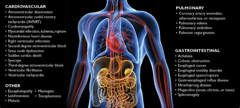 treatment of chagas disease Timeline showing the history of chagas disease treatment. - Diseases ...