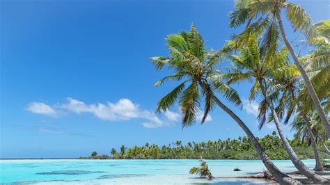 18 Polynesian Islands To Consider For Your Next Tropical Vacation