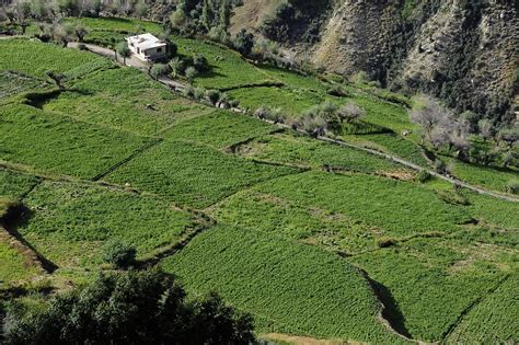 The Valley near Keylong | Lahaul Valley | Pictures | Geography im ...