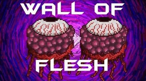 Wall of Flesh - Terraria Wiki