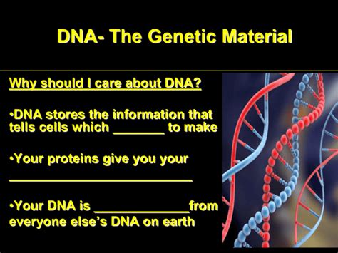 DNA- The Genetic Material